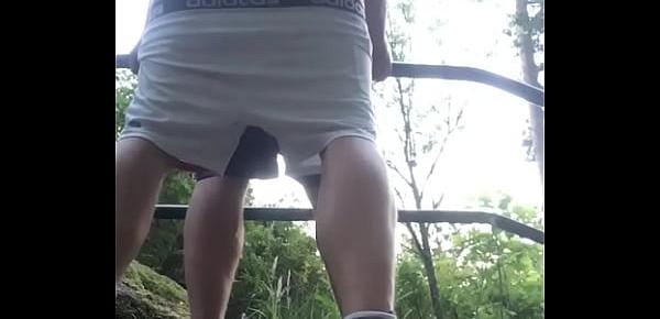  Breeding ass outdoor